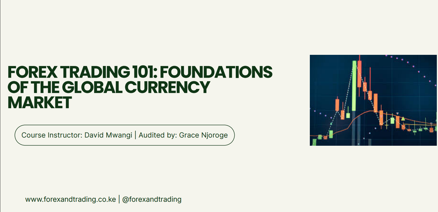 Forex Trading 101: Foundations of the Global Currency Market